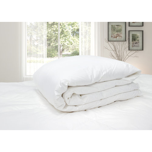 Lark Manor All Season Canadian Premium Weight Goose Down Comforter & Reviews Wayfair